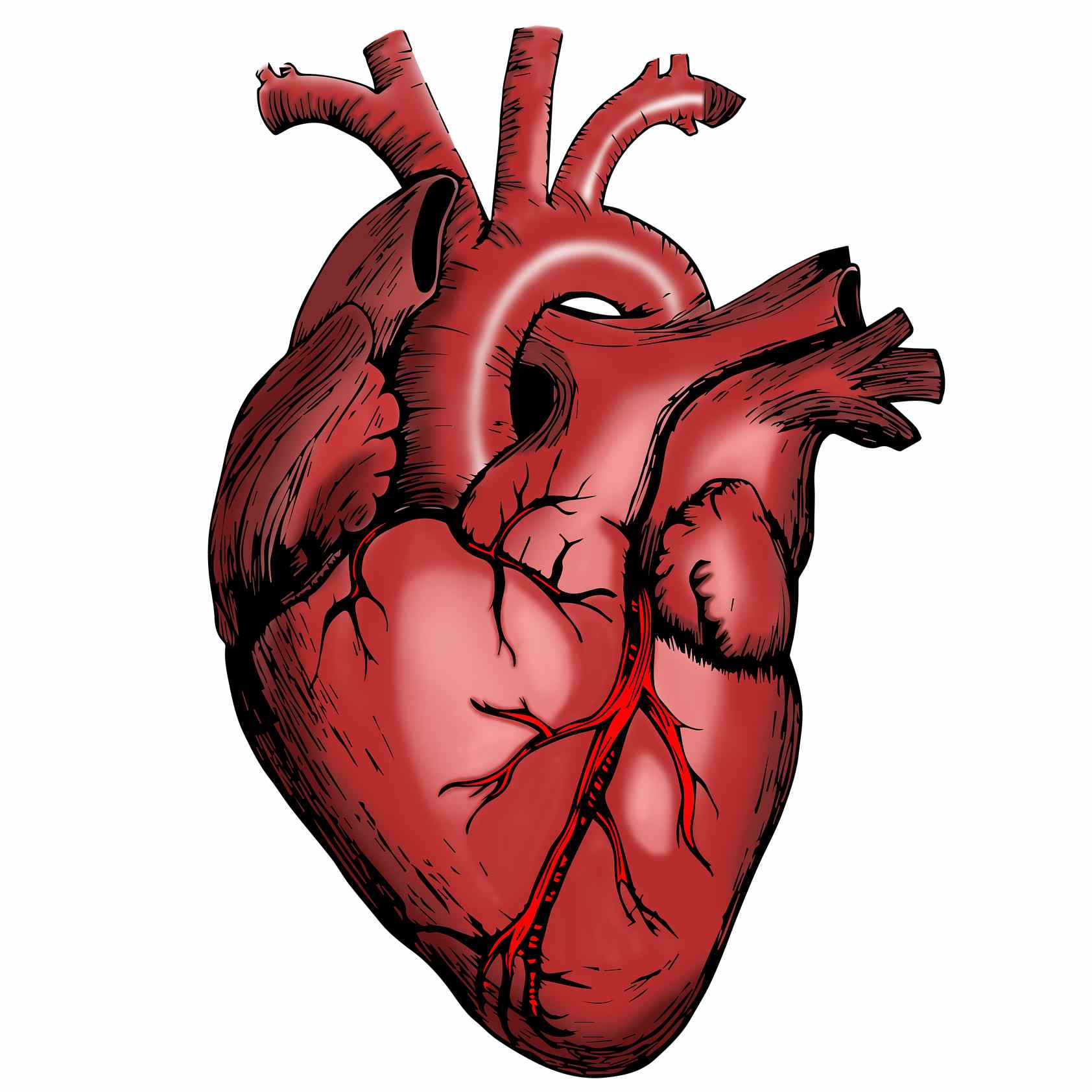 Electrocardiografía: lectura e interpretación
