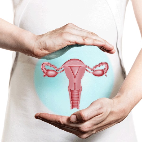 EXCLUSIU GIRONA: Cuidados a la mujer con problemas ginecológicos en la mujer en edad fértil. Cáncer ginecológico
