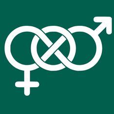 LA DIVERSIDAD AFECTIVA-SEXUAL Y DE GENERO EN LA ATENCIÓN DE ENFERMERA/O, E.ESPECIALISTA Y FISIOTERAPEUTA