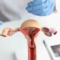 Cuidados a la mujer con problemas ginecológicos en la mujer en edad fértil. Cáncer ginecológico